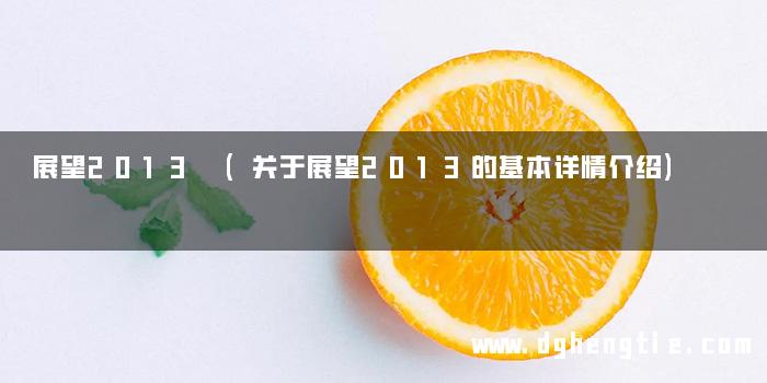 展望2013 (关于展望2013的基本详情介绍)